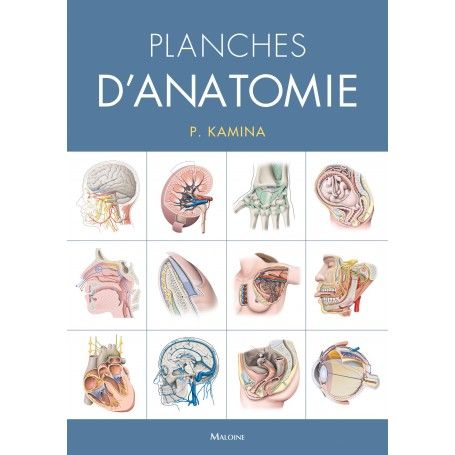 Planches d'anatomie, version spirales