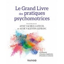 Le grand livre des pratiques psychomotrices