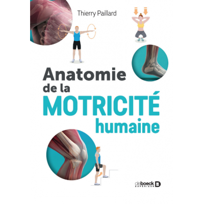 Anatomie de la motricité...