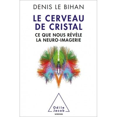 Le cerveau de cristal