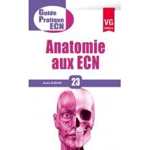 Anatomie aux ECN