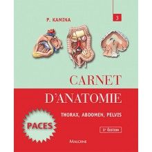 Carnet d'anatomie : thorax,...