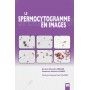 Le spermocytogramme en images