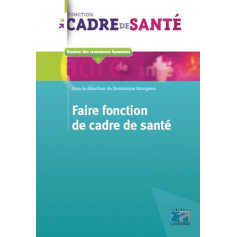 Faire fonction de cadre de santé