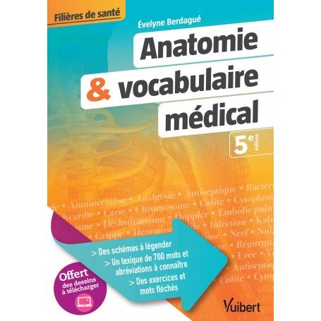 Anatomie et vocabulaire médical