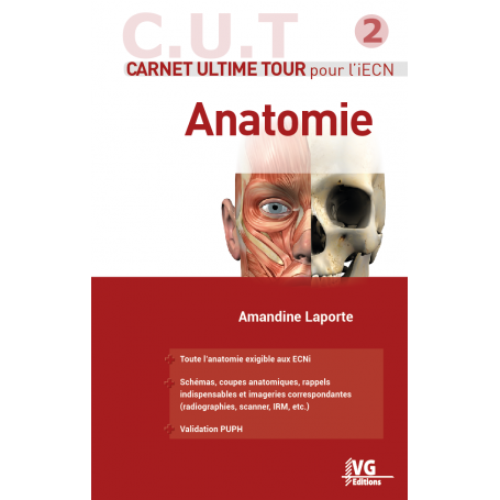 Anatomie