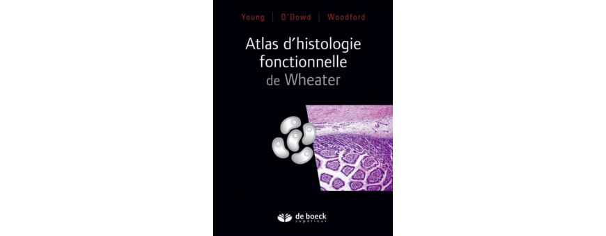 Histologie