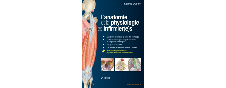 Anatomie-physiologie