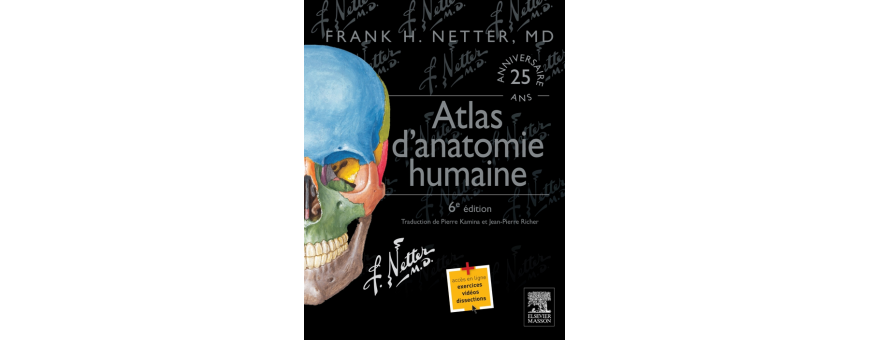 Anatomie
